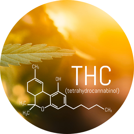THC Content THC Content